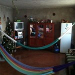 In Timun, a traditional Mayan village located in the Yucatan, faculty stayed with host families and slept in hammocks. They were given lessons on the correct way to sleep—perpendicular or diagonal—to avoid backaches and flips.